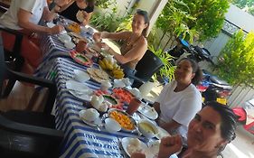 Lasindu Guest